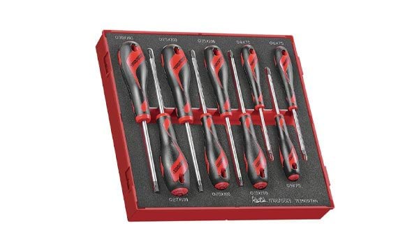 Jogo Chaves de Fenda TX FOAM2 9Pcs Teng Tools TED909TXN
