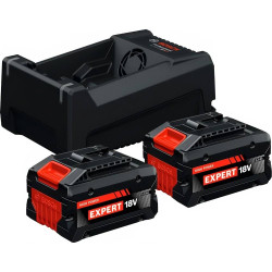 2x Batrerias Expert EXBA18V-55 + GAL12/18V-80 Bosch 1600A0373P