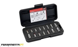 Conjunto de Bits de Extracção de Parafusos Bahco BWMSP15