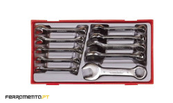 Conjunto de Chaves boca luneta curtas Teng Tools TT6010M