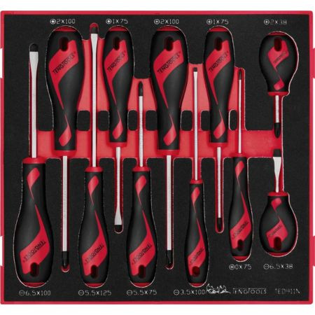 Jogo Chaves de Fenda Mista FOAM2 11Pcs Teng Tools TED911N