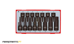 Jogo Ponteiras Hexagonais de Impacto Teng Tools TT9015HX